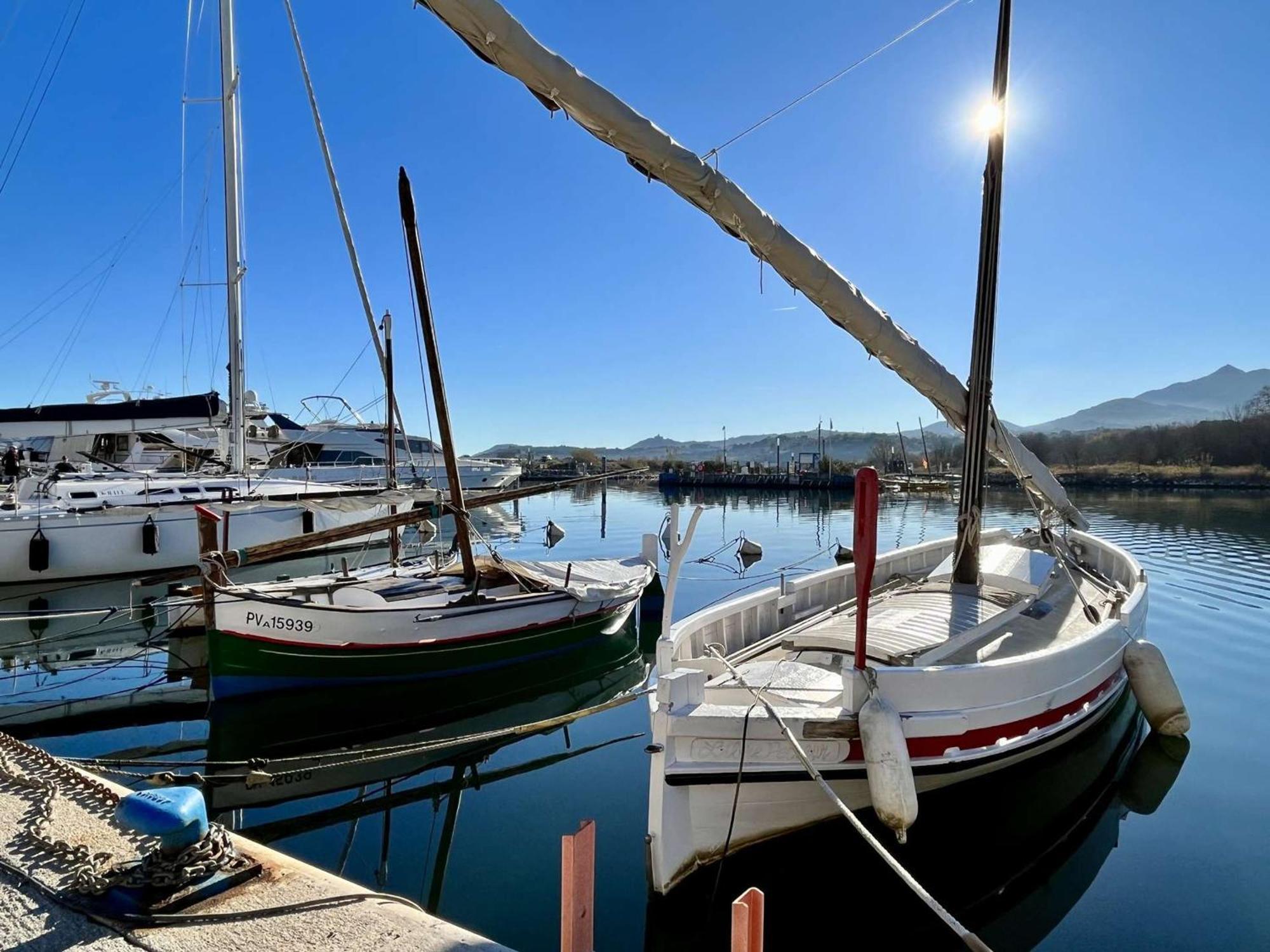 Appartement 2 Pieces, Balcon, Proche Plage Et Commerces, Quartier Calme - Argeles-Sur-Mer - Fr-1-225-685 Exterior foto